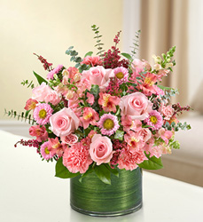 Cherished Memories<br>All Pink Davis Floral Clayton Indiana from Davis Floral